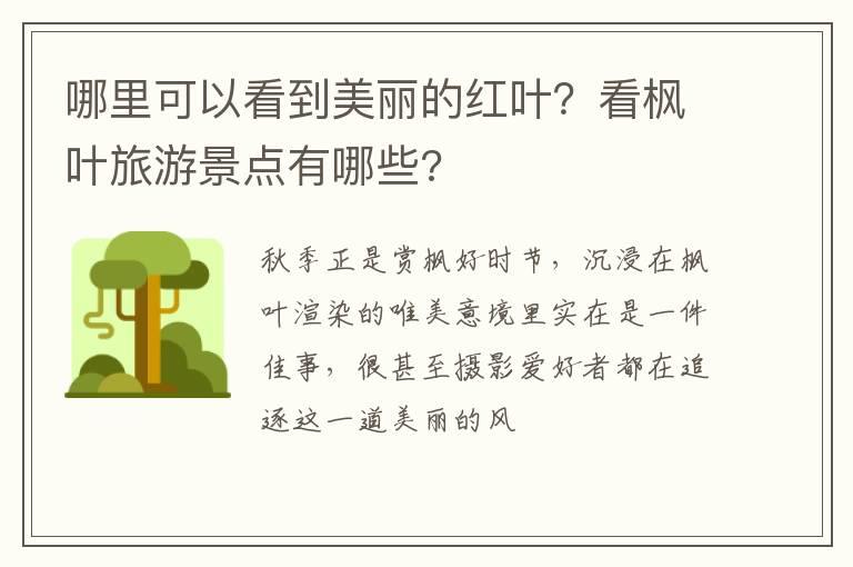 哪里可以看到美丽的红叶？看枫叶旅游景点有哪些?