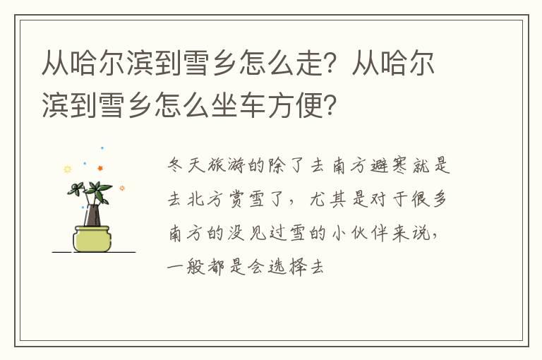 从哈尔滨到雪乡怎么走？从哈尔滨到雪乡怎么坐车方便？