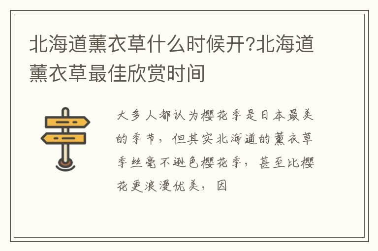 北海道薰衣草什么时候开?北海道薰衣草最佳欣赏时间