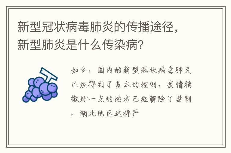 新型冠状病毒肺炎的传播途径，新型肺炎是什么传染病？