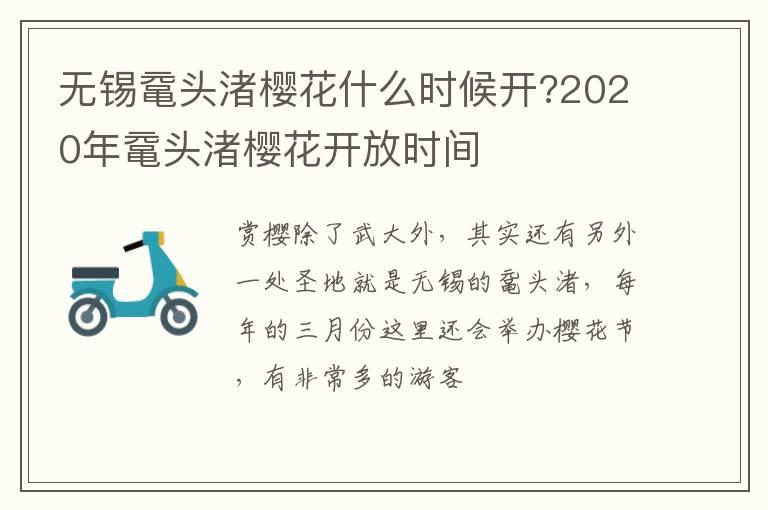 无锡鼋头渚樱花什么时候开?2020年鼋头渚樱花开放时间