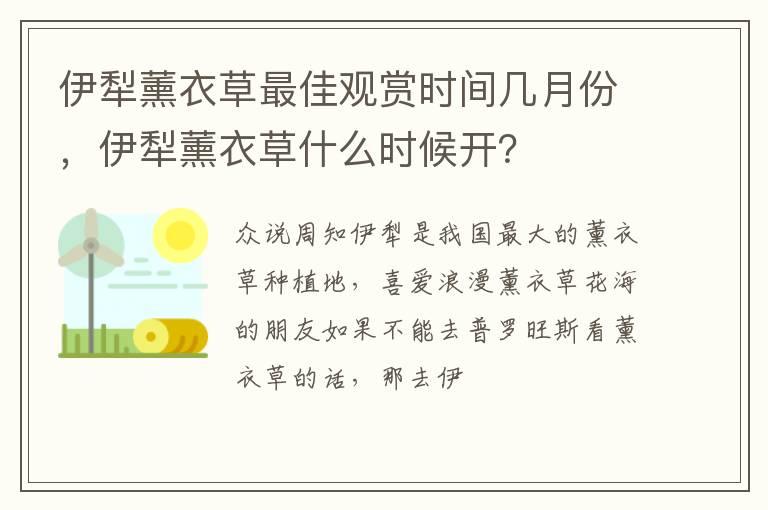 伊犁薰衣草最佳观赏时间几月份，伊犁薰衣草什么时候开？