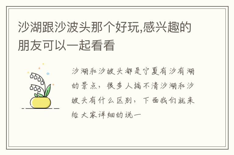 沙湖跟沙波头那个好玩,感兴趣的朋友可以一起看看