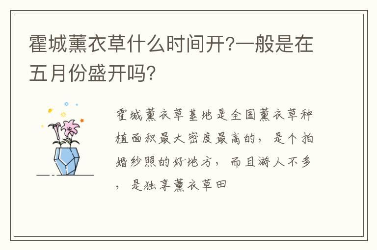 霍城薰衣草什么时间开?一般是在五月份盛开吗？