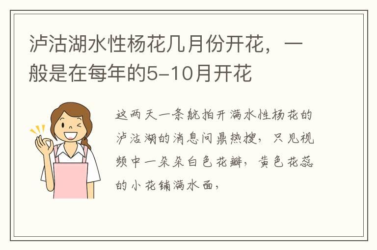 泸沽湖水性杨花几月份开花，一般是在每年的5-10月开花