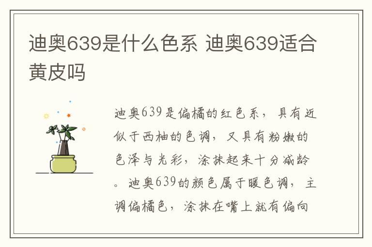 迪奥639是什么色系 迪奥639适合黄皮吗