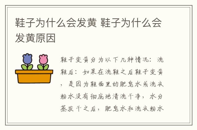 女生可以重复收到dr戒指吗 女生可不可以重复收到dr戒指