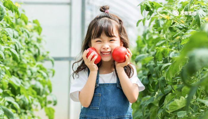 小女孩发型绑扎方法