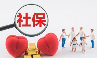 社保个人代码怎么查询 如何查社保个人代码