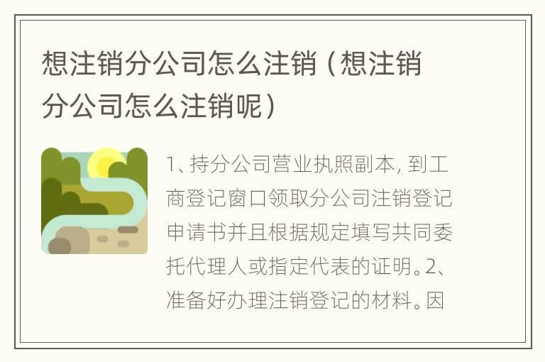 想注销分公司怎么注销（想注销分公司怎么注销呢）