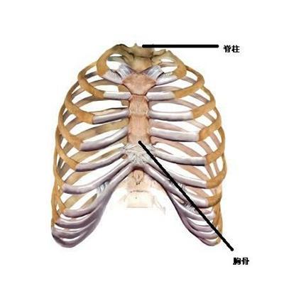 胸骨疼是怎么回事
