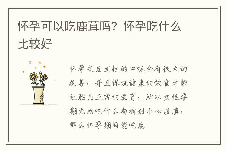 怀孕可以吃鹿茸吗？怀孕吃什么比较好