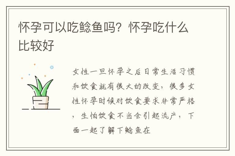 怀孕可以吃鲶鱼吗？怀孕吃什么比较好