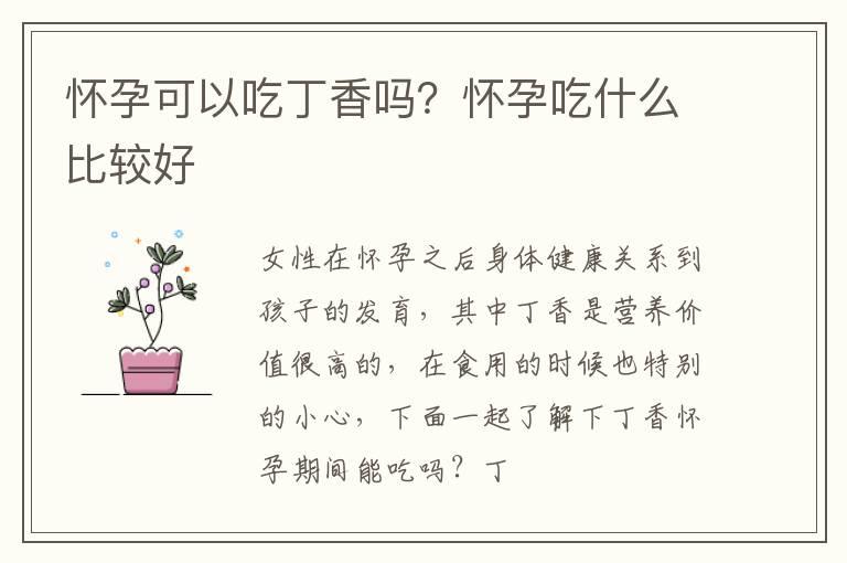 怀孕可以吃丁香吗？怀孕吃什么比较好