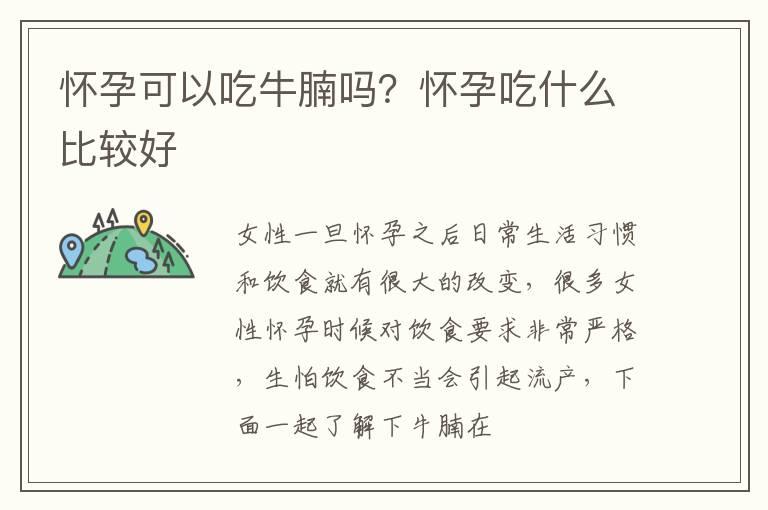 怀孕可以吃牛腩吗？怀孕吃什么比较好