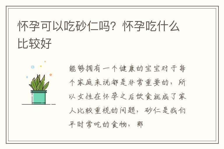 怀孕可以吃砂仁吗？怀孕吃什么比较好